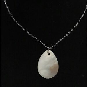 Abalone shell necklace